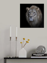 The King Poster och Canvastavla