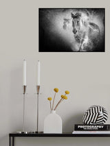The water splashed in all directions. Poster och Canvastavla
