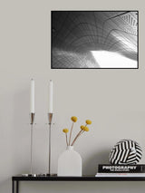 perfect curvature Poster och Canvastavla