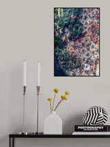 Ocean Curiosities Poster och Canvastavla