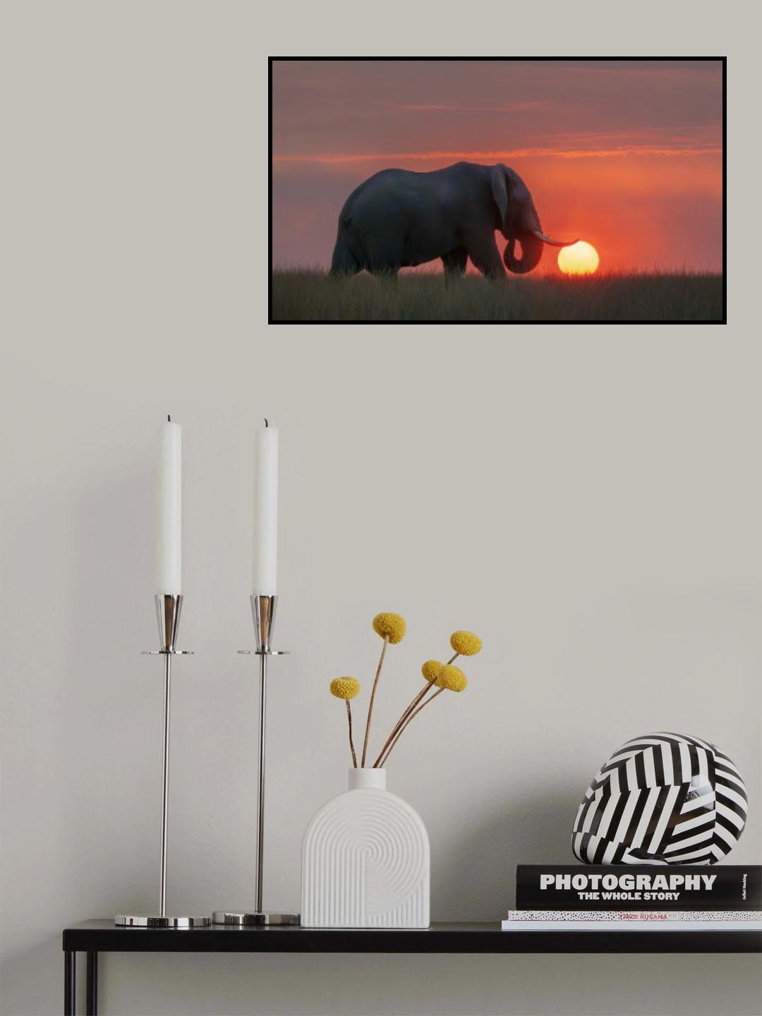 Elephant Rolling Fireball Poster och Canvastavla