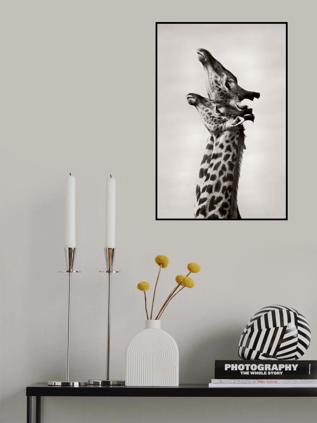 True Love Poster och Canvastavla