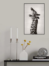 True Love Poster och Canvastavla