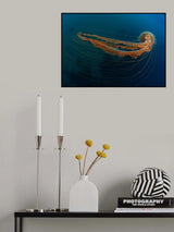 Strings of the sea Poster och Canvastavla