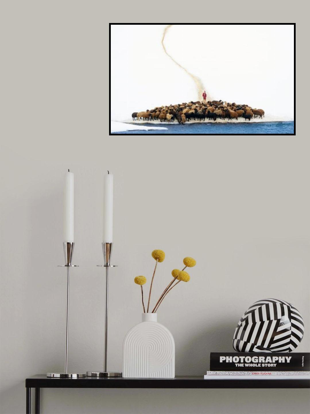 hard lives Poster och Canvastavla
