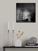 *** Poster och Canvastavla