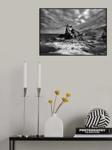 Capsized Poster och Canvastavla