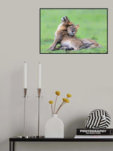 After The raining Poster och Canvastavla