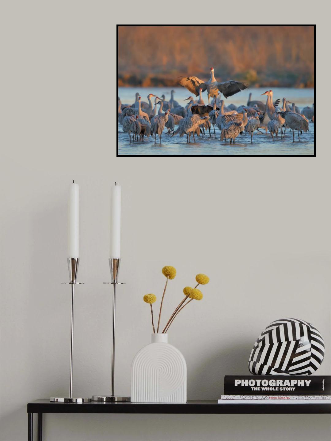 Good Morning Poster och Canvastavla