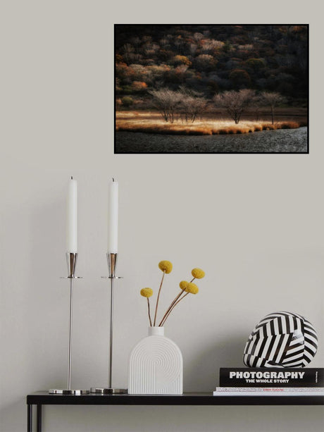 Poster och Canvastavla