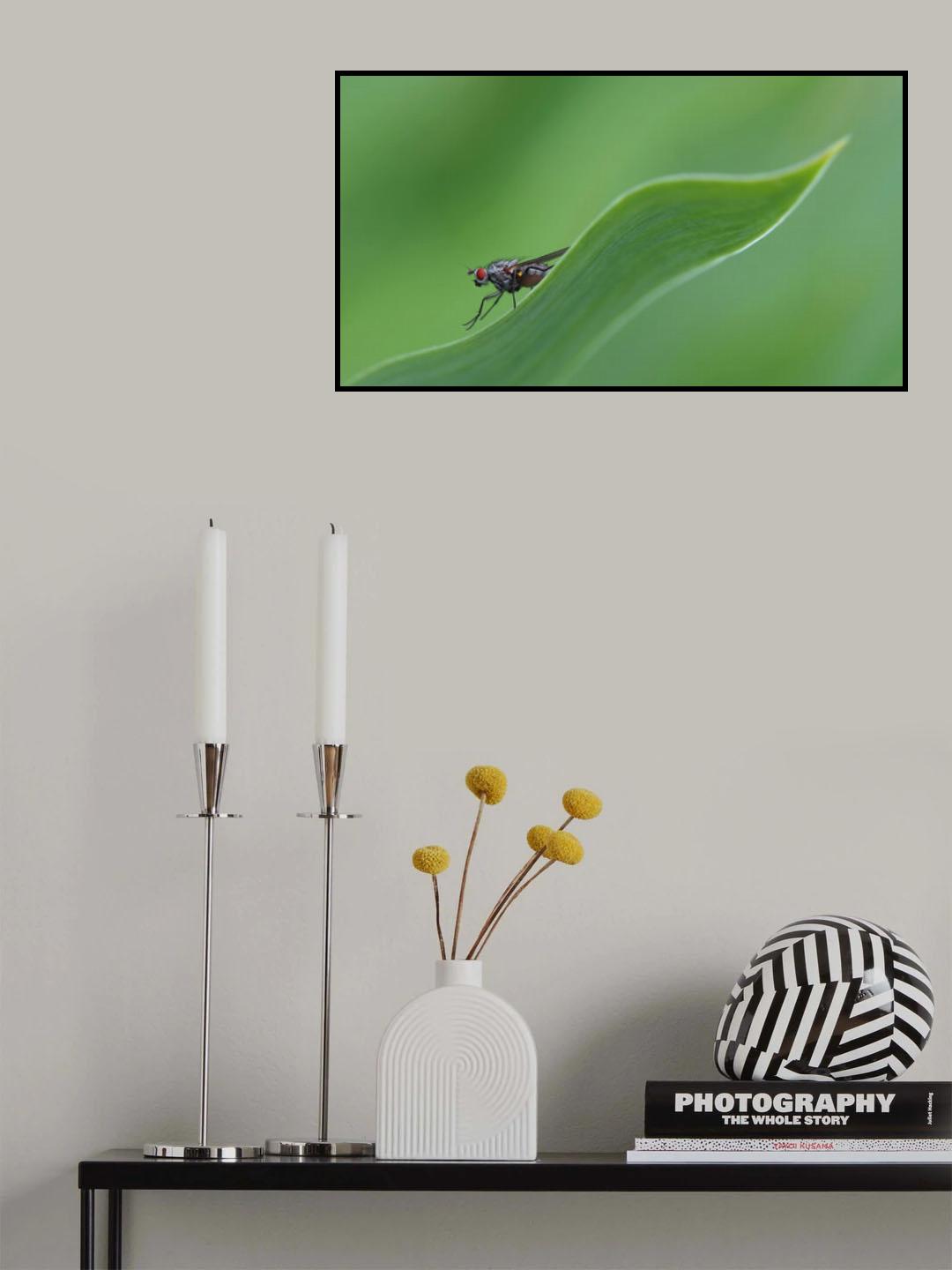 Surfing the wave... Poster och Canvastavla