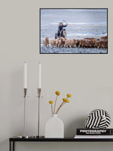 Eagle Hunter controlling his herd Poster och Canvastavla
