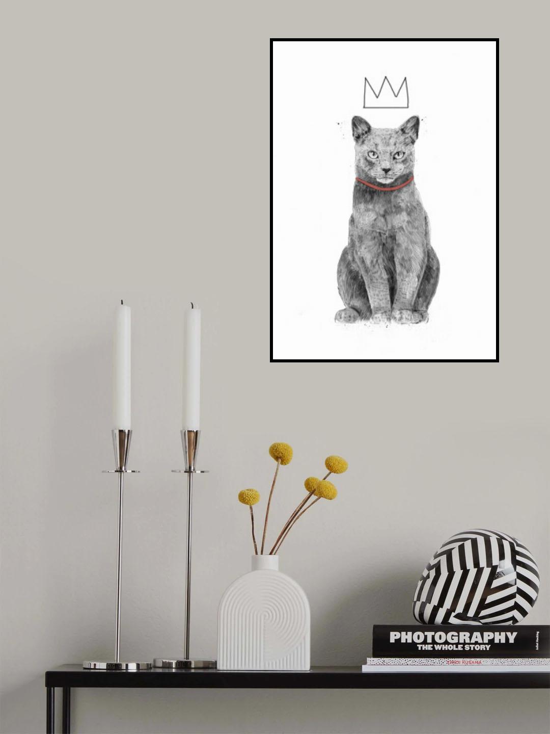 King of everything Poster och Canvastavla