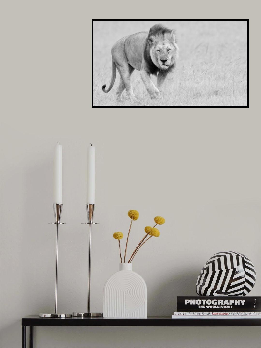 Half Awake Poster och Canvastavla
