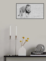 Half Awake Poster och Canvastavla