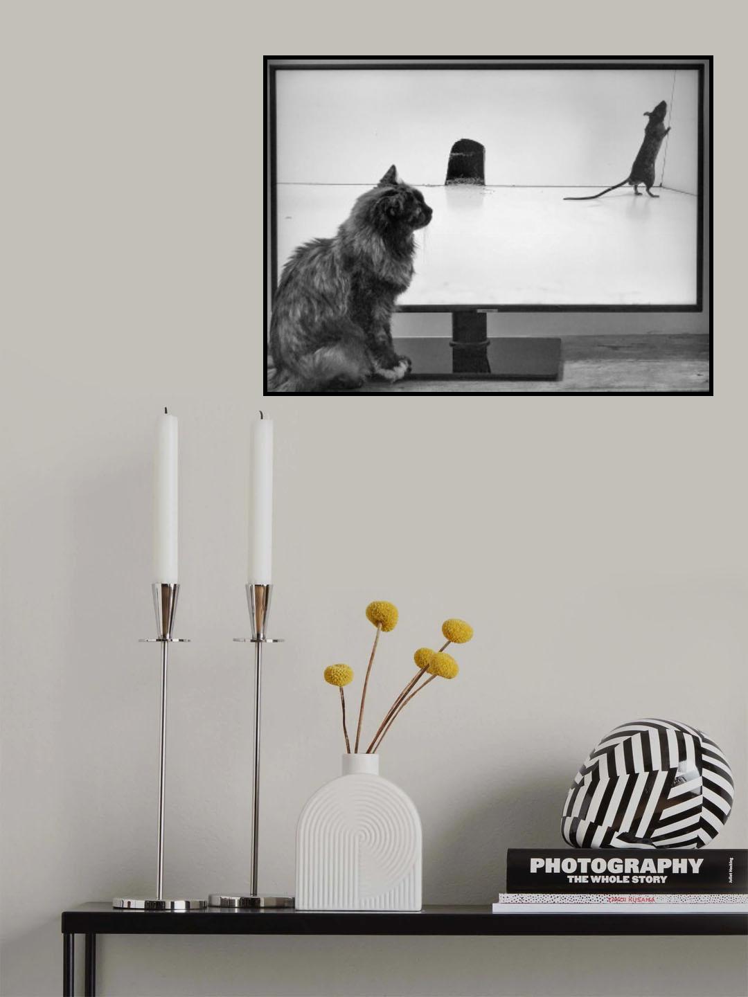 You Tube Video For Cats Poster och Canvastavla