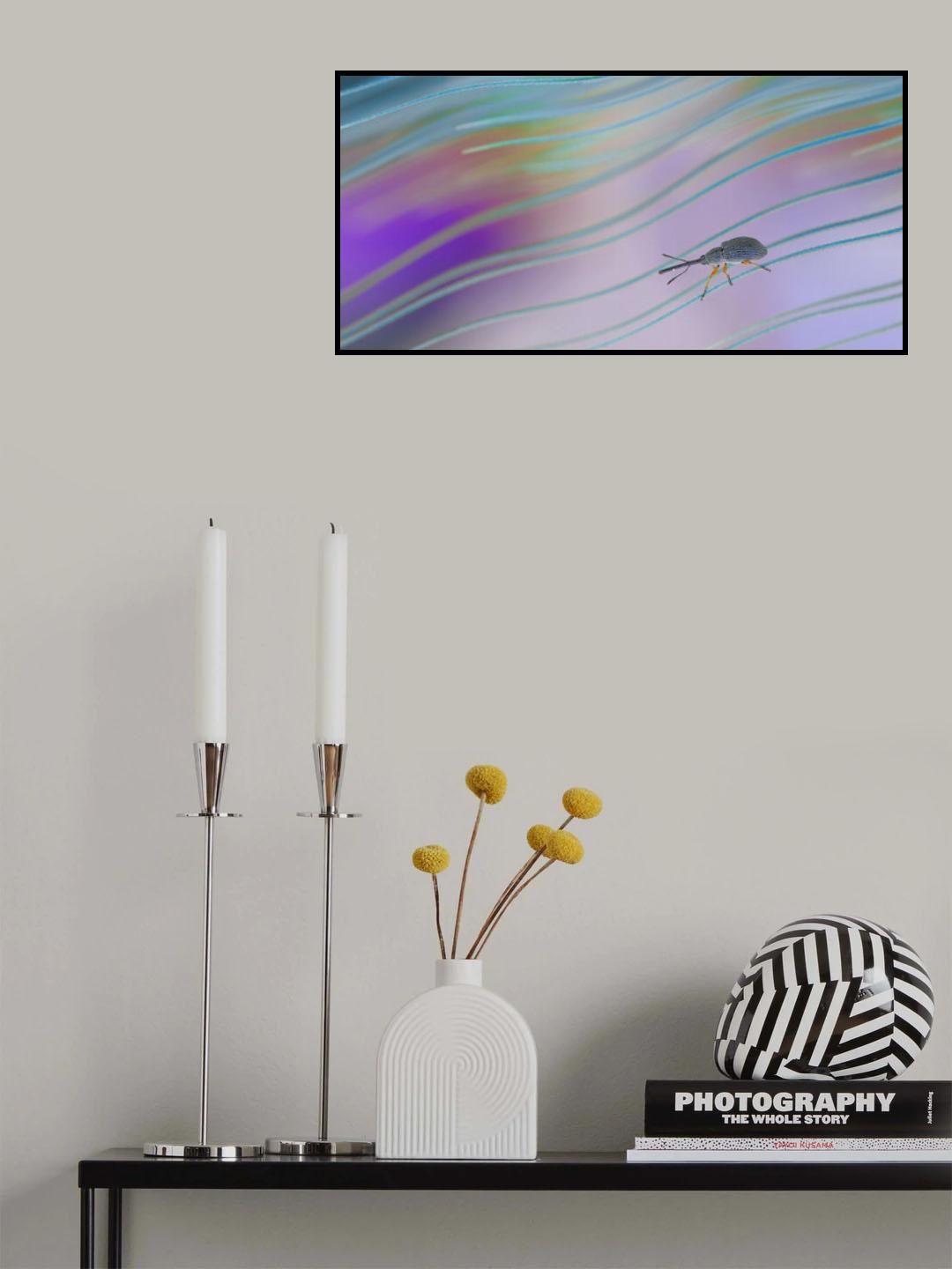 Travel in the rainbow... Poster och Canvastavla
