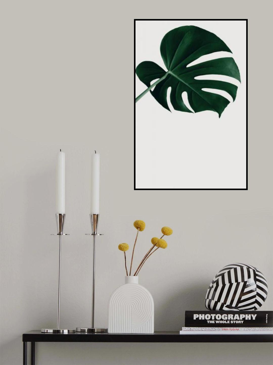 Monstera Natural 19 Poster och Canvastavla