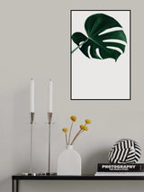 Monstera Natural 19 Poster och Canvastavla