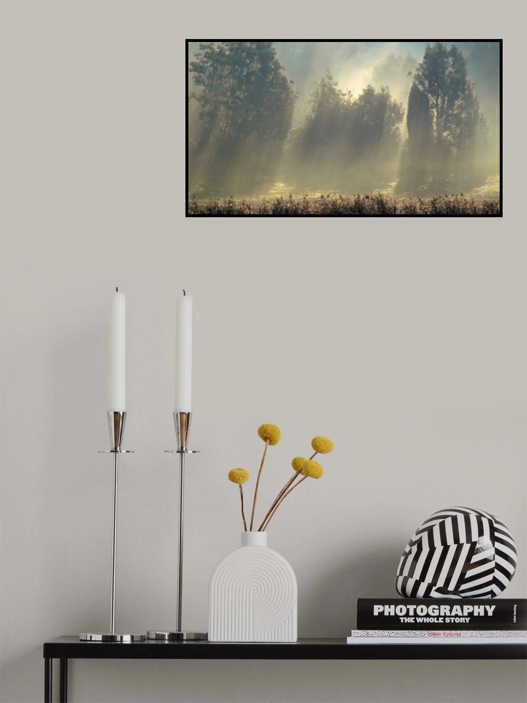 Misty morning in the forest. Poster och Canvastavla