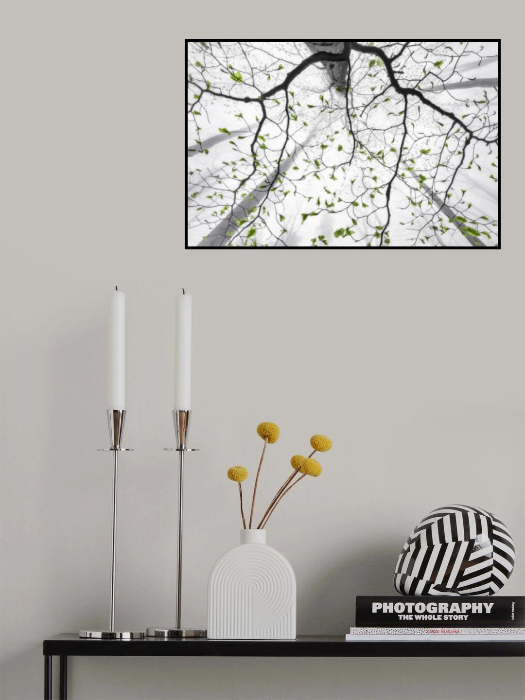 Leaves of spring Poster och Canvastavla
