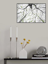 Leaves of spring Poster och Canvastavla