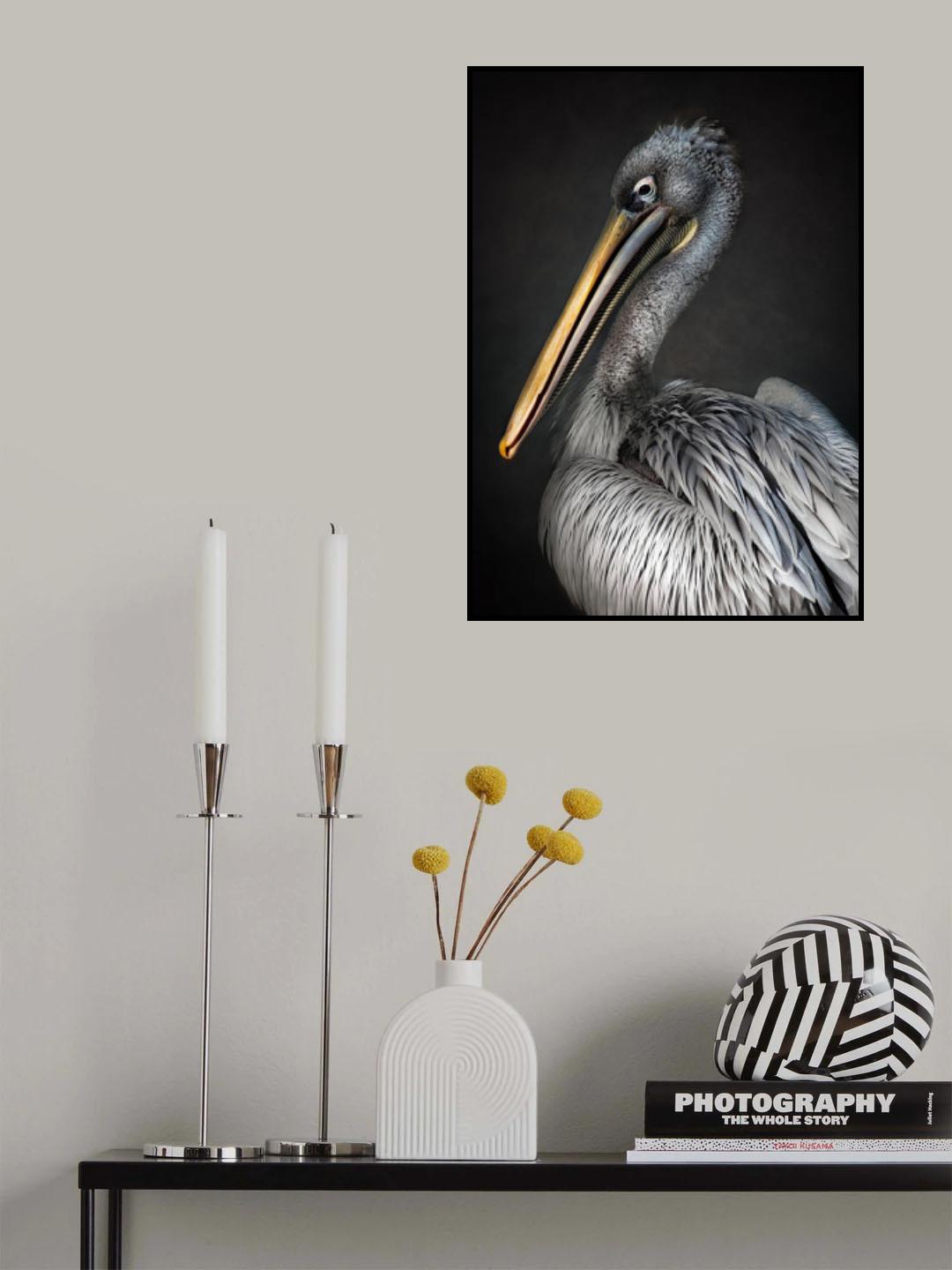 Pelican portrait Poster och Canvastavla