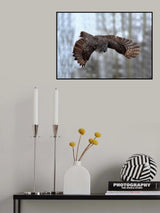 Soaring Poster och Canvastavla
