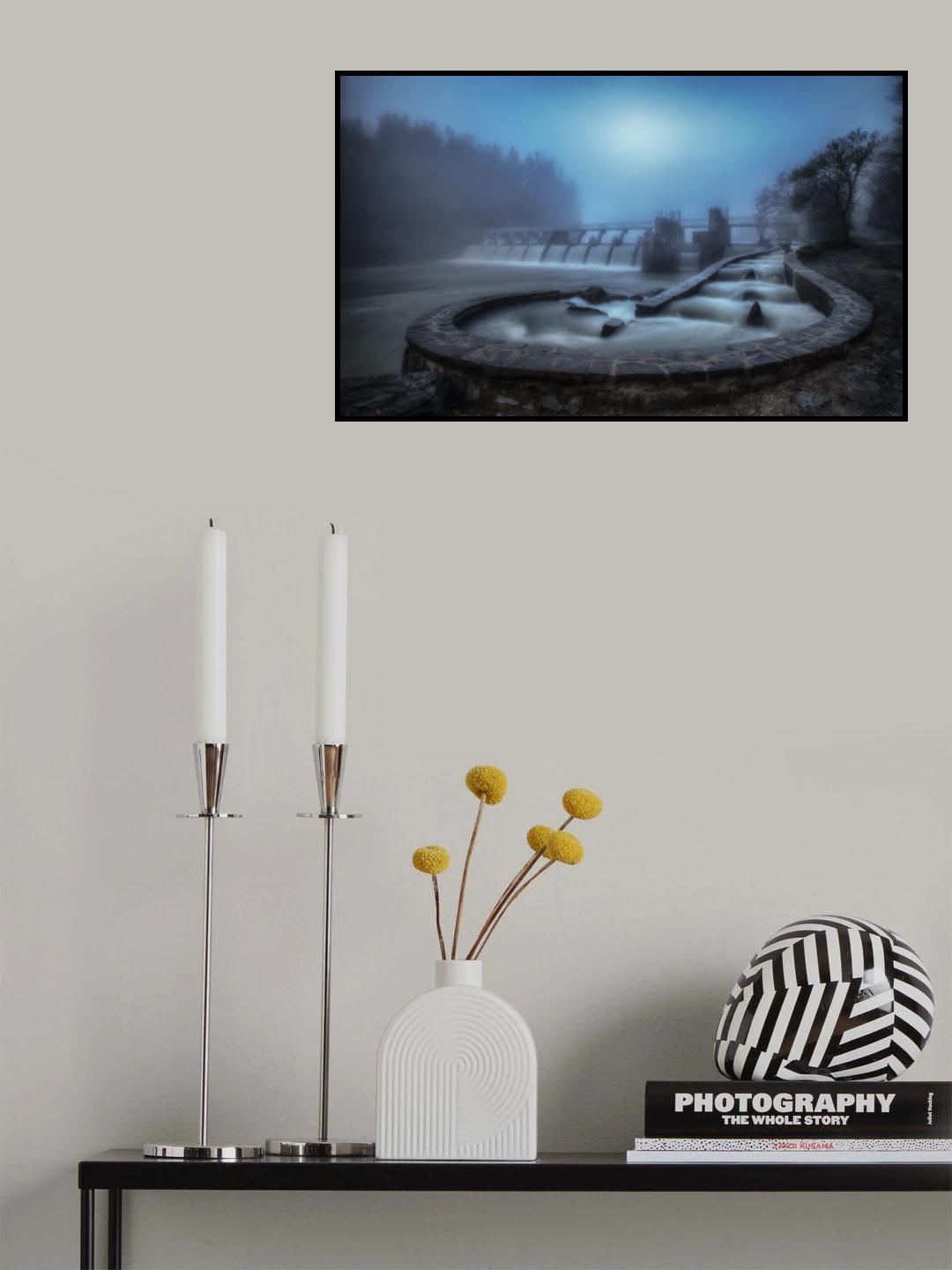 The Fish Ladder Poster och Canvastavla