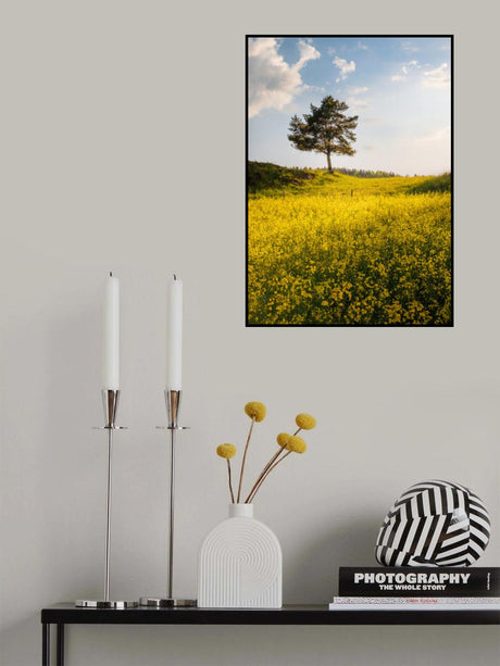 King of the hill Poster och Canvastavla