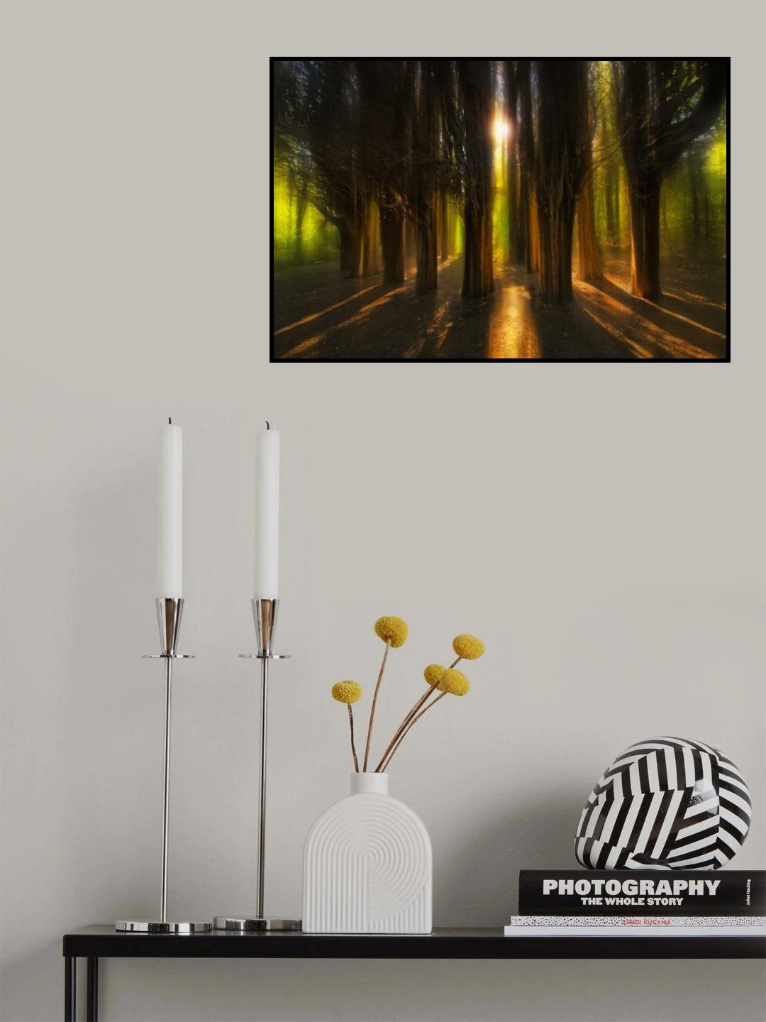 Enchanted Forest Poster och Canvastavla