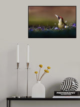 The lady woodpecker in the sun Poster och Canvastavla