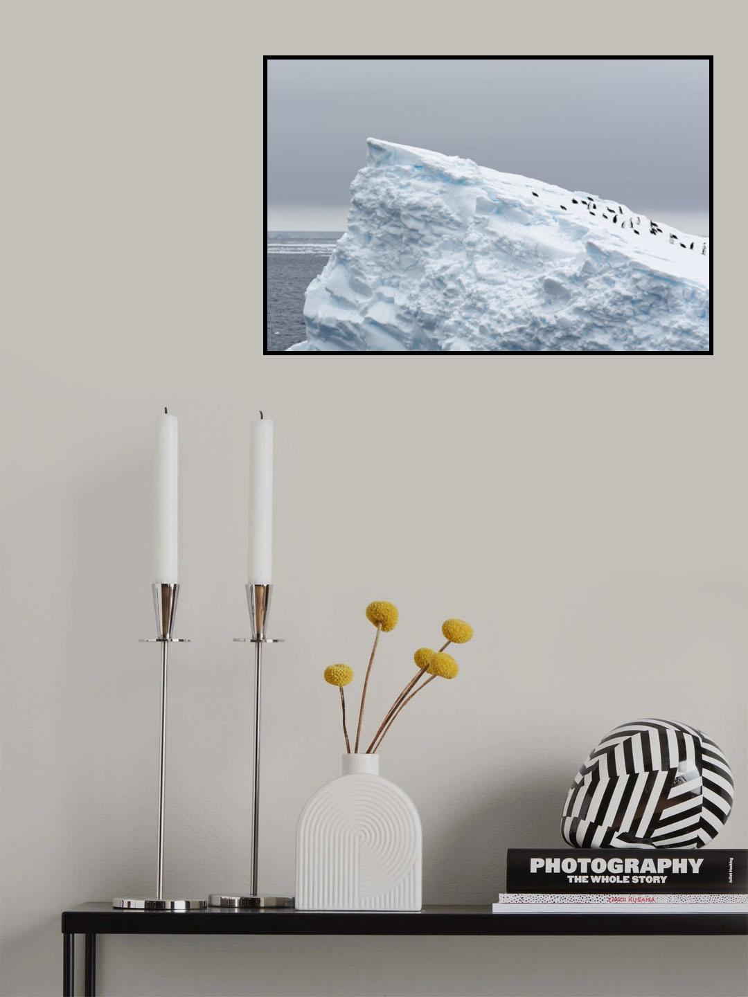 The giant slide Poster och Canvastavla