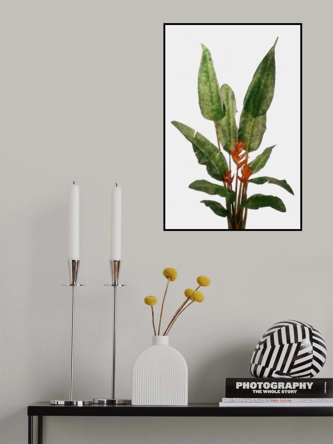 Bird of Paradise Plant on White Wall Poster och Canvastavla