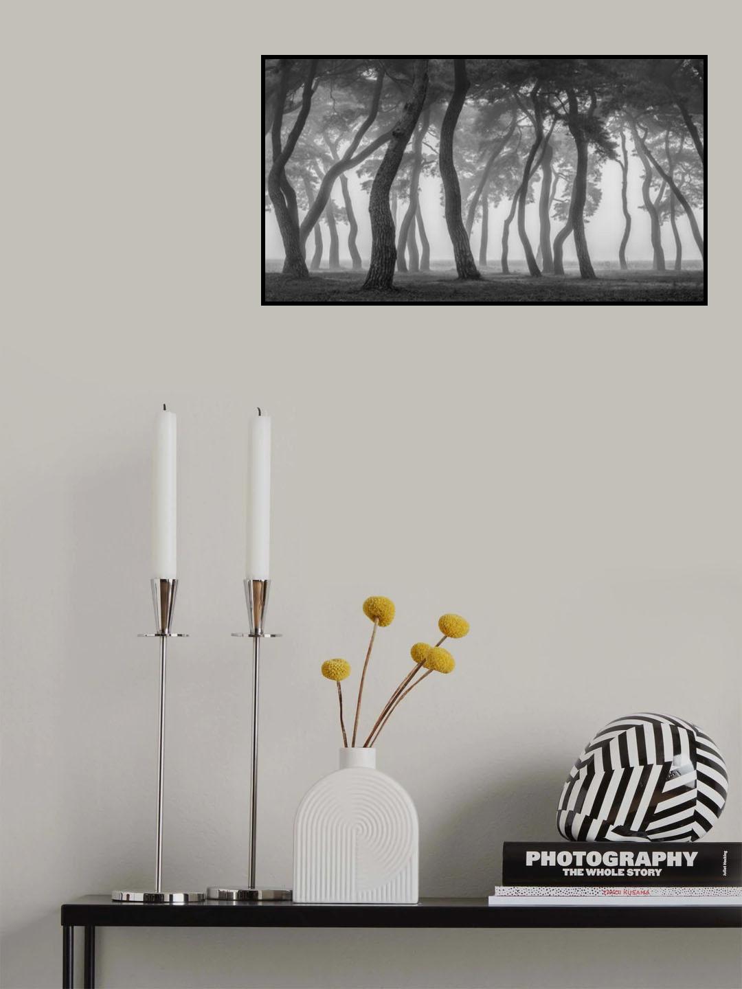 Foggy morning Poster och Canvastavla