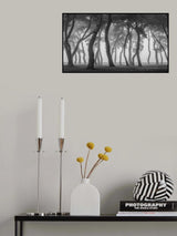 Foggy morning Poster och Canvastavla