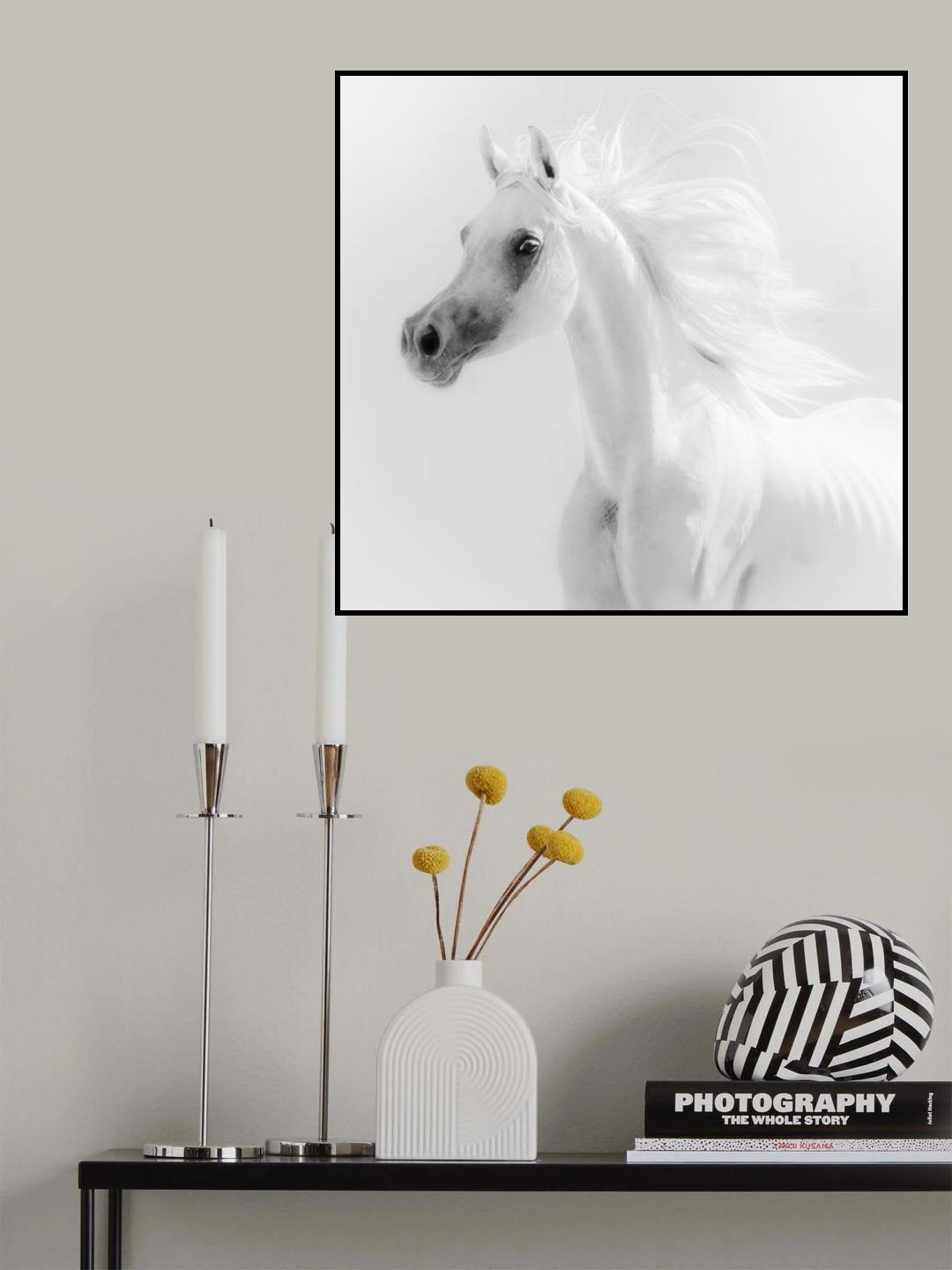 Dream Horse Poster och Canvastavla