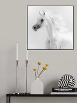 Dream Horse Poster och Canvastavla