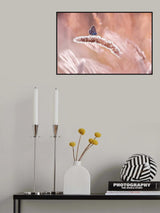 feel the field Poster och Canvastavla