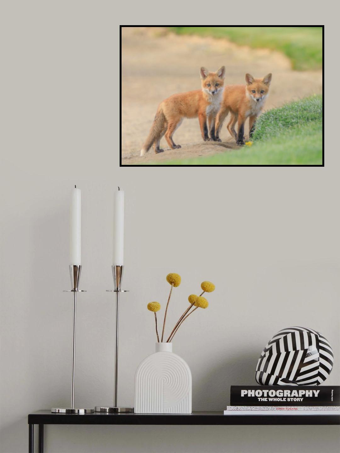 Red Fox Brothers Poster och Canvastavla