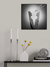 Chinese cuisine Poster och Canvastavla