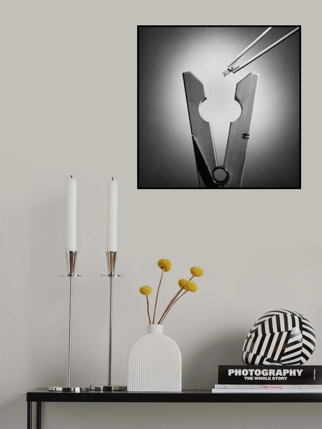 Chinese cuisine Poster och Canvastavla