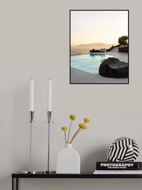 Birds Flying Over Swimming Pool Poster och Canvastavla
