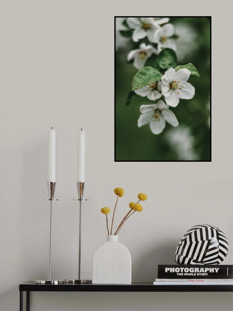 Spring Series - Apple Blossoms in the Rain 4/12 Poster och Canvastavla