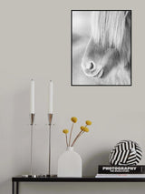 Icelandic horse in winter fur Poster och Canvastavla