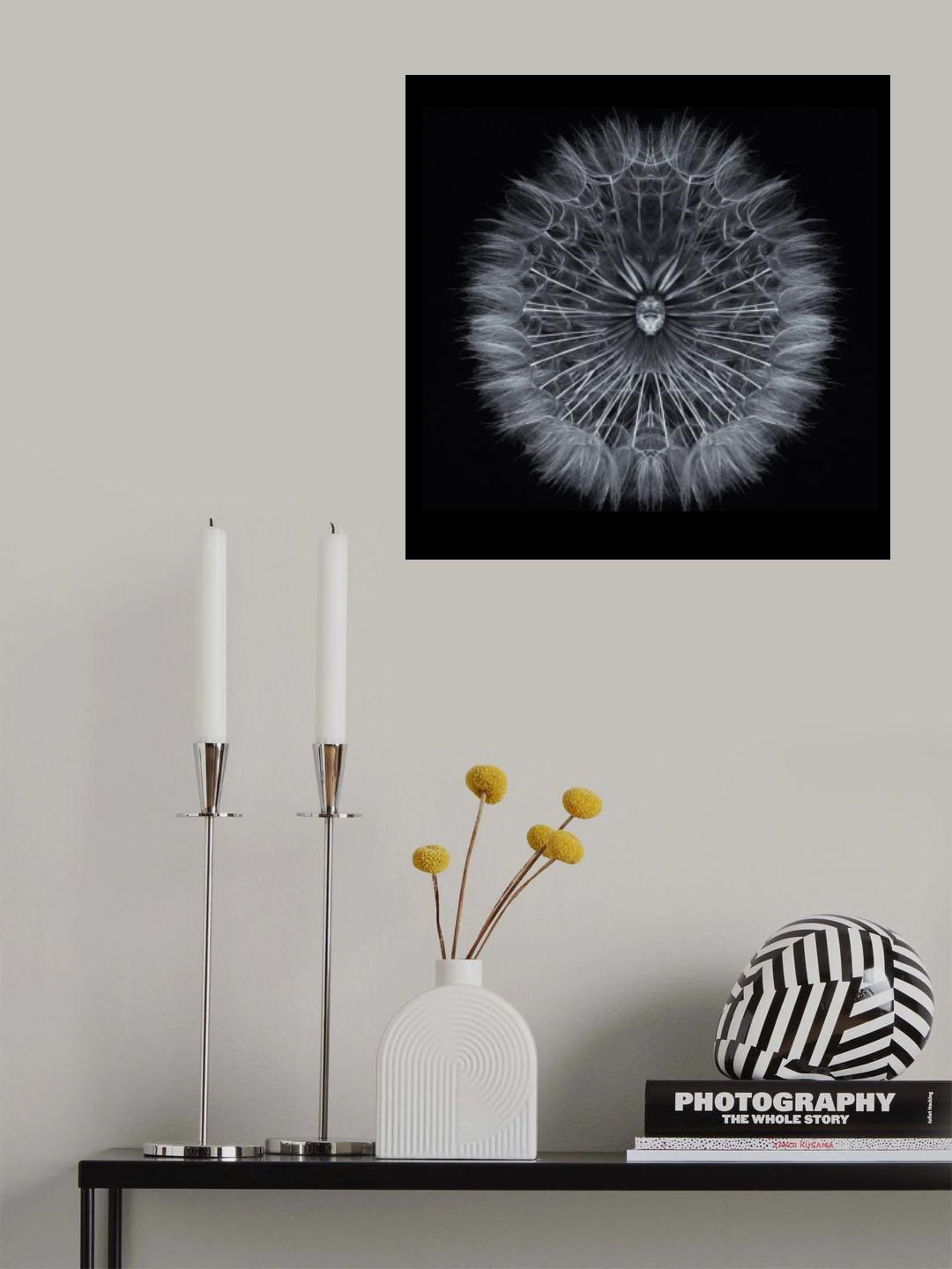 Salsify Poster och Canvastavla
