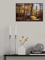Fall colors Poster och Canvastavla