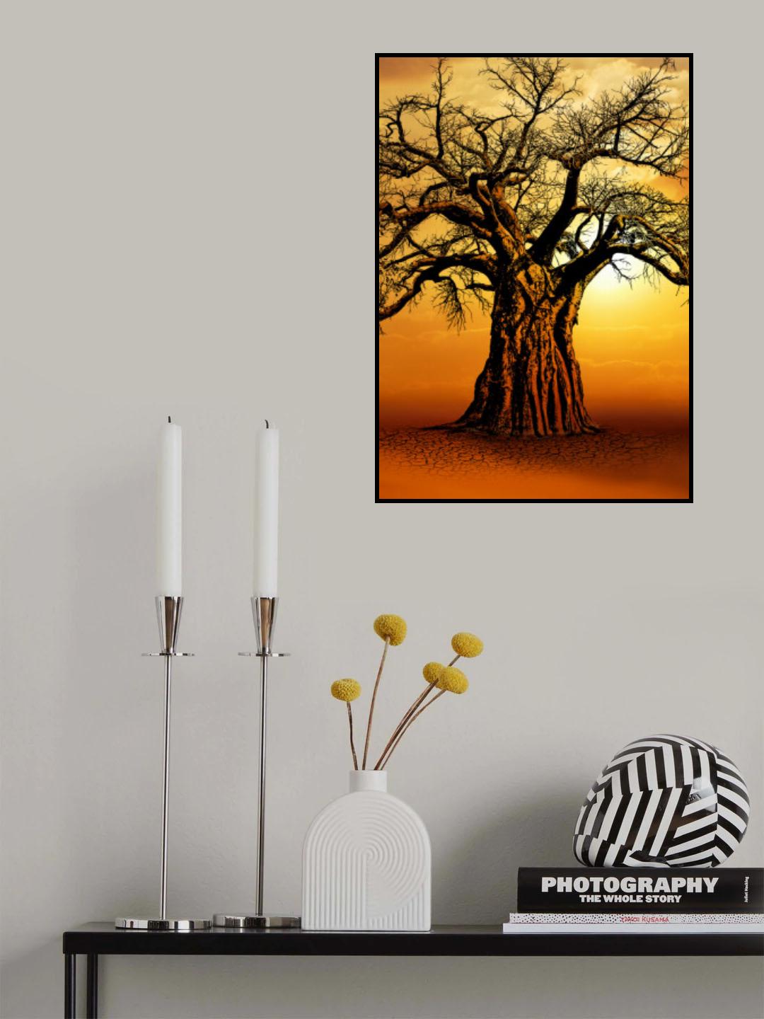 African Baobab Tree at Sunset Poster och Canvastavla