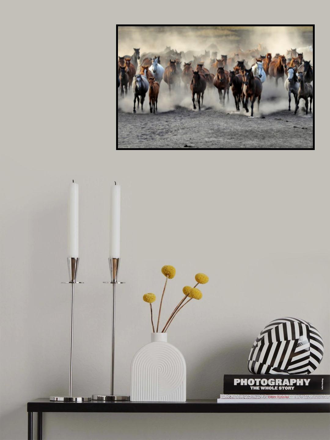 Wild  Horses Poster och Canvastavla