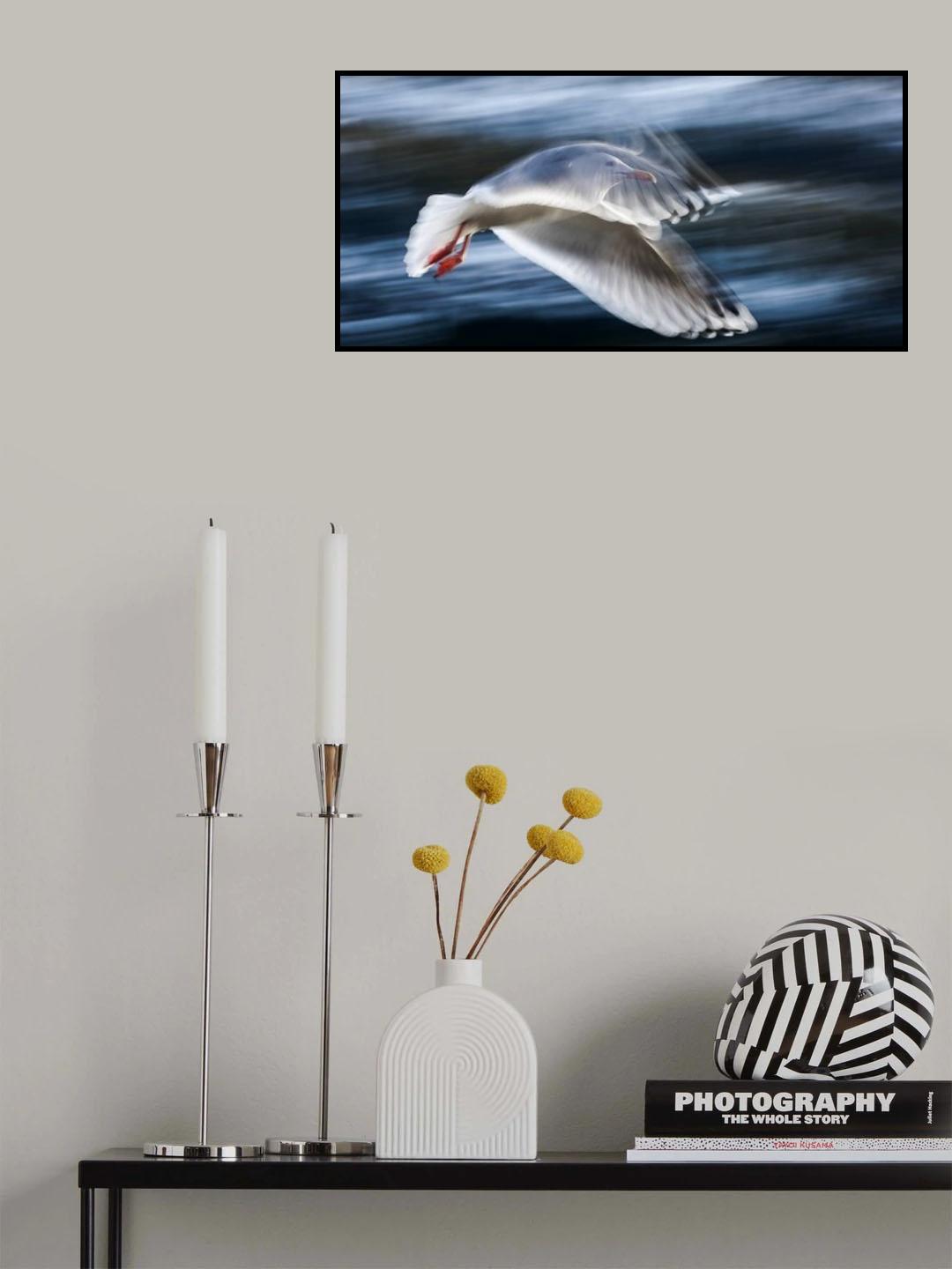 ...Panning Gull... Poster och Canvastavla